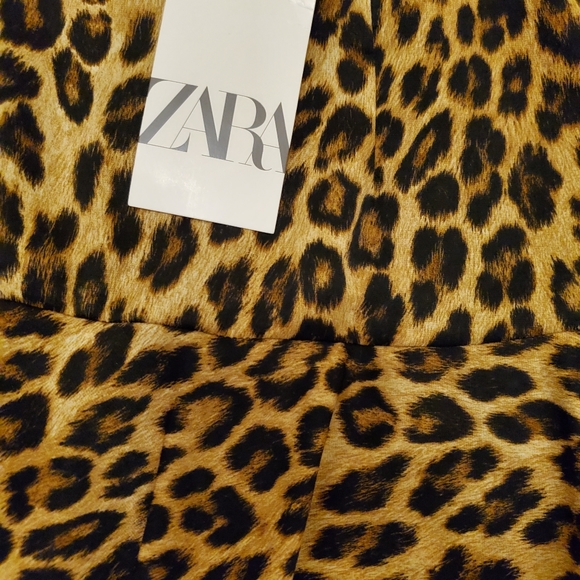 Skirt/shorts- Zara - Picture 4 of 8